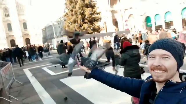 Кормлю голубей на площади Дуомо смотреть онлайн