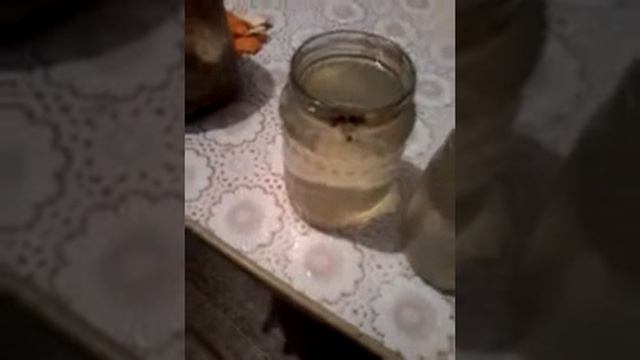 Эксперемент с кортошкой соленой водой и простой смотреть онлайн