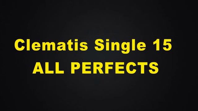 250K Video View Special Clematis Rapsodia D16 S15 ALL PERFECTS [Pump it Up XX] смотреть онлайн
