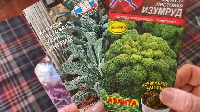 Мои покупки к сезону 2022. Где купить семена.Стеллаж для рассады,. Тапенер.Подробный обзор. смотреть онлайн