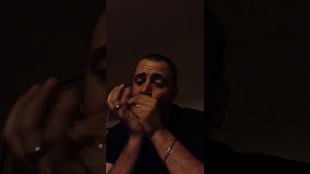 Me playing harmonica Hallelujah I love her so. Seydel Session Steel Beta-harp key of E. смотреть онлайн