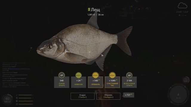 Где заработать новичку? • Трофейный Лещ! • Легкий Фарм • Оз. Комариное • Русская Рыбалка 4 #97 смотреть онлайн