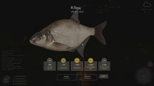 Где заработать новичку? • Трофейный Лещ! • Легкий Фарм • Оз. Комариное • Русская Рыбалка 4 #97