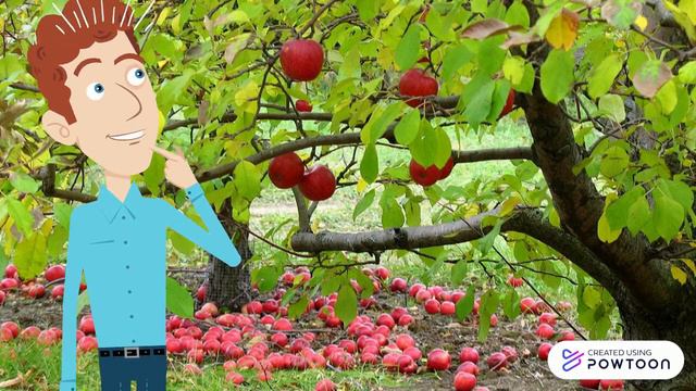 Притча " Відро з яблуками". смотреть онлайн