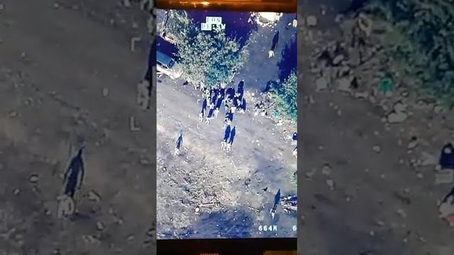 Вот что происходит армянскими командирами солдатами Нагорном Карабахе смотреть онлайн