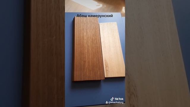 Абаш камерунский смотреть онлайн