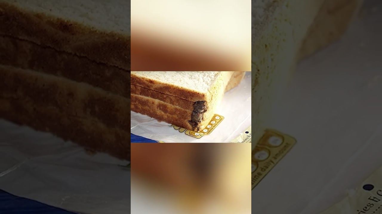 Мышь в хлебе смотреть онлайн