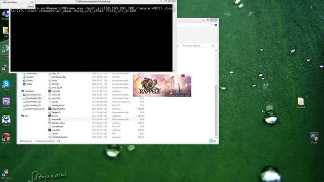 Fix for gameguard error 101 Rappelz Shadow смотреть онлайн