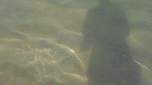 Безлюдный пляж Ла Мер утром. Holiday Inn Express Dubai, Jumeirah, an IHG Hotel.  Отдых в Дубае лето