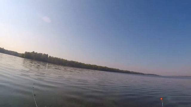 ЛОВЛЯ КРУПНОЙ ТАРАНИ НА ДНЕПРЕ | ЛОВЛЯ РЫБЫ ЛЕТОМ В ЖАРУ смотреть онлайн