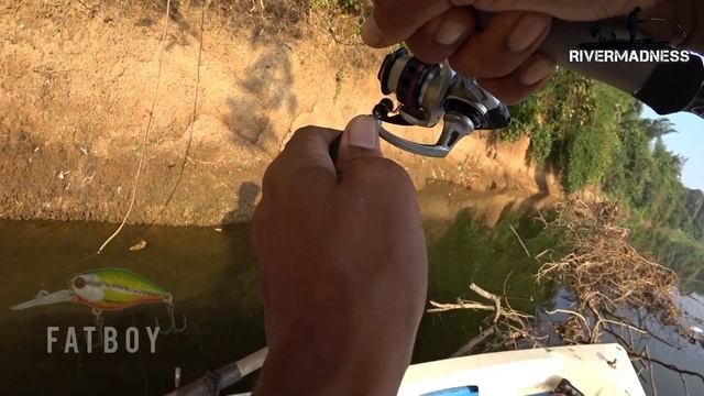 ultralight fishing നാടൻ പരലിന്റെയും ചേറാന്റെയും അടിപൊളി fight...... смотреть онлайн