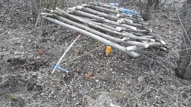 СЛОВИТЬ ФАЗАНА НА ПИРАМИДУ ШАУРМА НА КОСТРЕ. смотреть онлайн