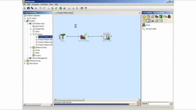 Datanomic Director Video Demo смотреть онлайн