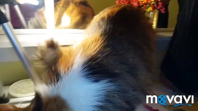 Переделка старой бижутерии. А также - новые бусы. Вы же спрашивали, что можно купить? смотреть онлайн