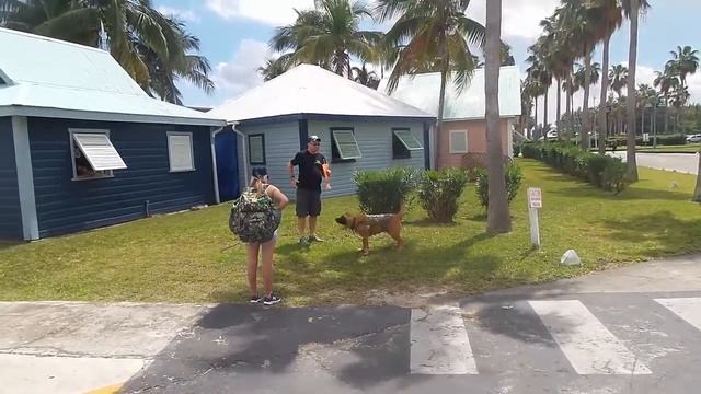 Freeport Harbour (Grand Bahama Island) смотреть онлайн