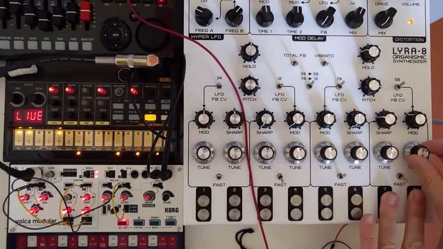 wild_path [ soma lab lyra-8 | volca modular | volca beats ] смотреть онлайн