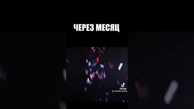 а у вас какие домашние питомцы смотреть онлайн