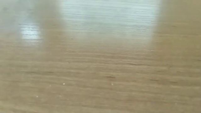 skibd lastik смотреть онлайн