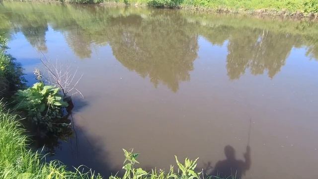 Рыбалка на сома. Открытие сезона! Сом на донку. Сом чуть не откусил палец на ноге! смотреть онлайн