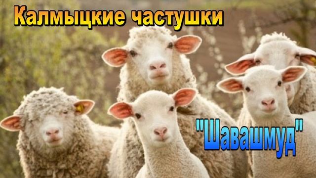 Калмыцкие частушки 