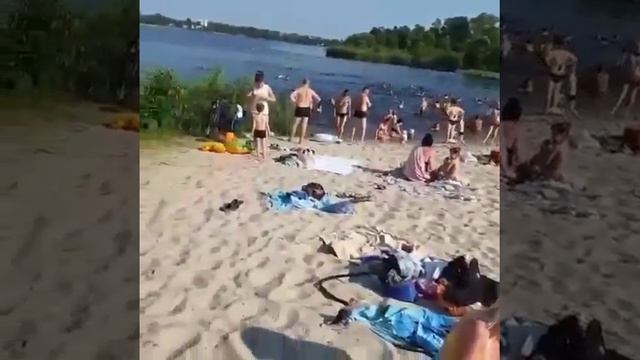 сфинкс настоящий?? смотреть онлайн