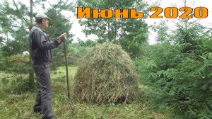 Большие новости деревенской жизни!