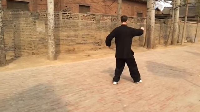 9 форм тайцзи-цюань