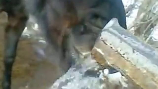 Бывший человек смотреть онлайн