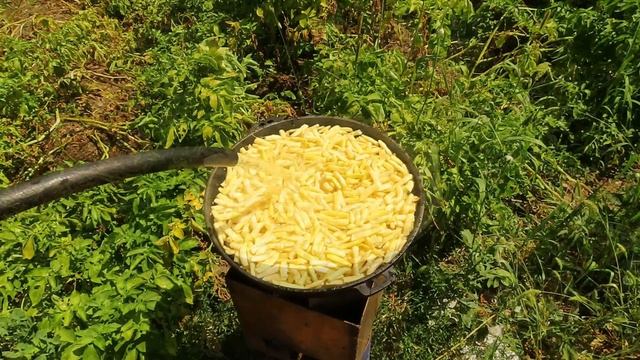 Спаржевая фасоль. Готовим на мужском огороде! смотреть онлайн