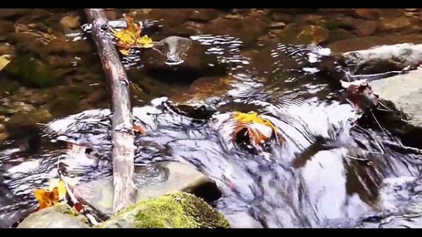 Размышления под гитару. Галим Сарымсаков