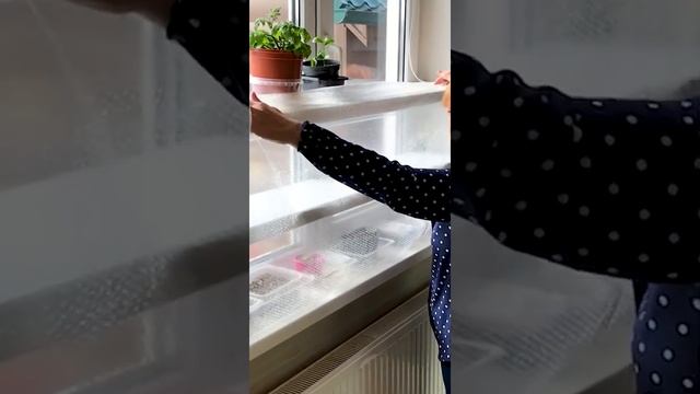 Понижаем температуру на окне для рассады. смотреть онлайн