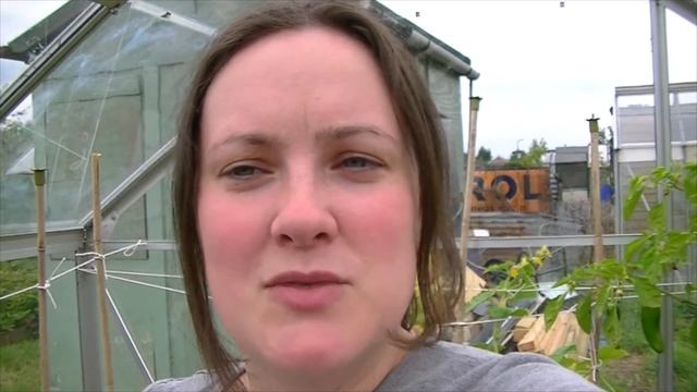 Moving The Loganberry I Foodie Gardening Allotment Y1E32 смотреть онлайн