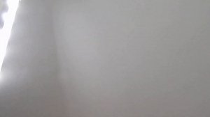 Светильник для маляров, под лампу ЛОСЕВА