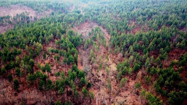 Тинтява – крепост Градище/Автотур по древни съоръжения 2023 смотреть онлайн