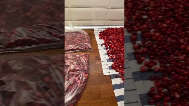 КЛЮКВА НА ЗИМУ ? смотреть онлайн