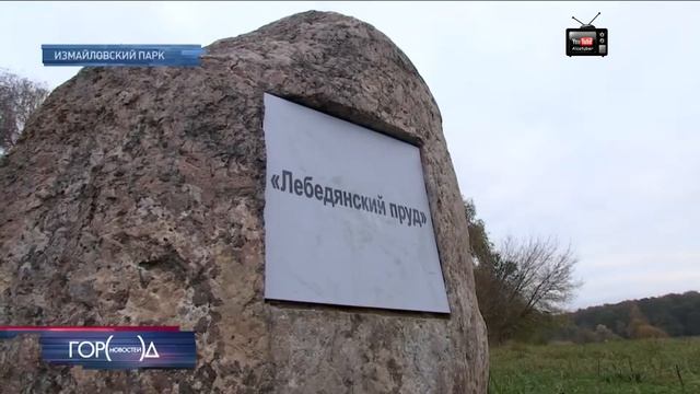 Календарь отлета птиц из Москвы составили в Мосприроде смотреть онлайн