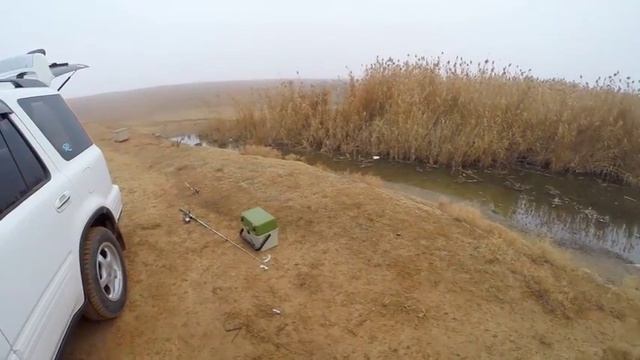 Туман. Ильмень. Рыбалка. 15.11.2014 смотреть онлайн