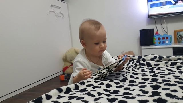 Радомир читает книгу ??17.10.19