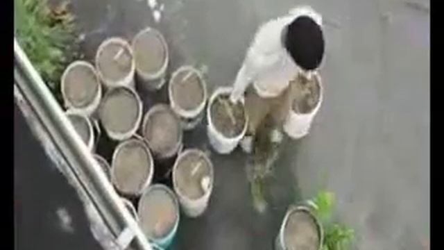 Видео c веб-камеры от 25 сентября 2014 г., 20:34 (PDT) смотреть онлайн