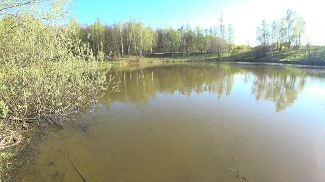 0,06 (+/-) грамм сделали всю рыбалку. Плотва на спиннинг. смотреть онлайн