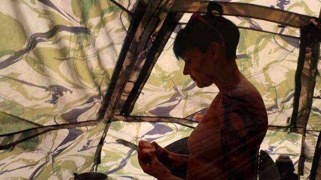 РЫБАЛКА в ГЛУШИ. Закидушки ЛЕТОМ на реке. Ловля сома. Сколько здесь рыбы? #257 смотреть онлайн