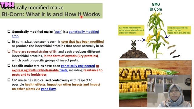 TPH 11. Biorational Pesticides 1 смотреть онлайн