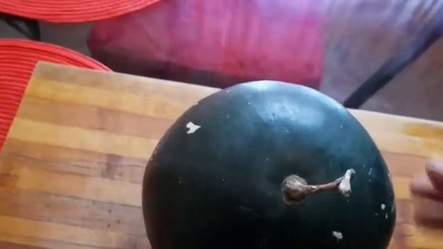 Арбуз "Сахарный малыш") 20.09.2020 г. Татарстан. смотреть онлайн