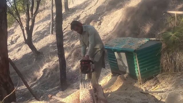 Topsun 6224 chainsaw power смотреть онлайн