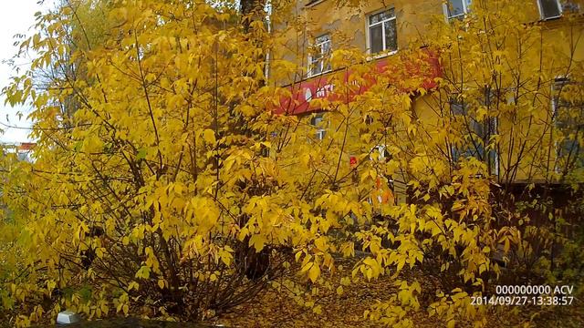 Шорох желтых листьев смотреть онлайн