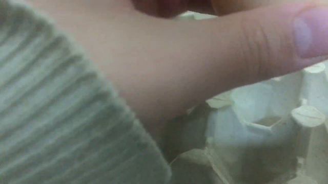 Начали нестись куры 👍 смотреть онлайн