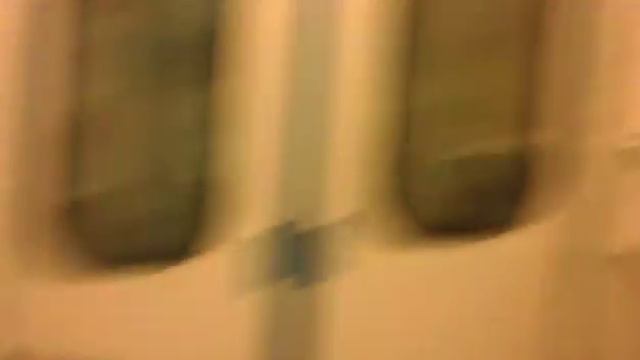 Именной поезд "Тигровый" (Станция Чеховская Серпуховско-Тимирязевская линия) смотреть онлайн