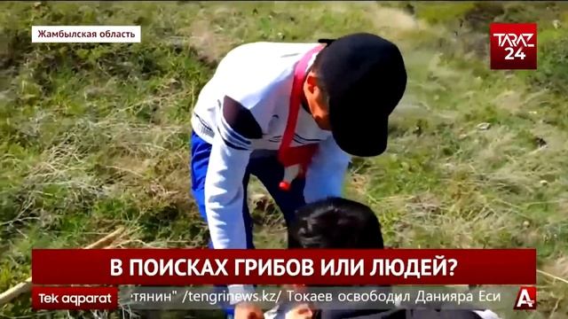 В ПОИСКАХ ГРИБОВ ИЛИ ЛЮДЕЙ? смотреть онлайн
