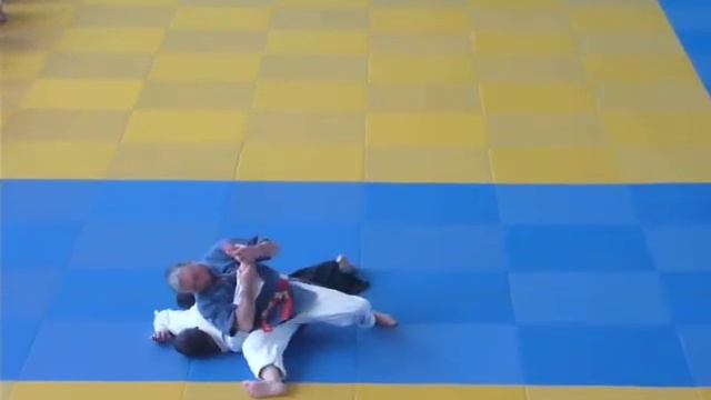 Семинар сенсея Ян Янссонс (4) Seminar Sensei Jan Janssens 8th Dan смотреть онлайн