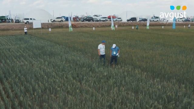 ТОО "Август-Казахстан" на республиканском Дне Поля Jana Dala\Green Day 2022 смотреть онлайн